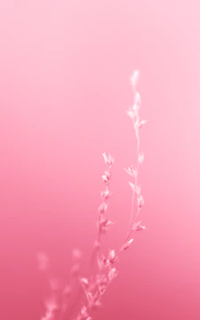 An elegant, minimalist forest painting featuring slender trees with powder pink accents on a white background.