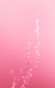Birth Poster