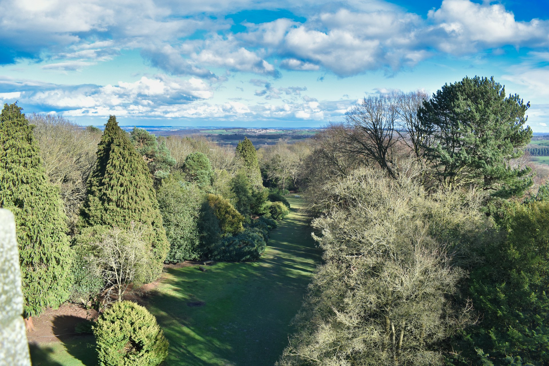 A vibrant aerial view of a lush green Peruvian hillside terrain with native trees and clear blue skies, highlighting the natural beauty of the land.
