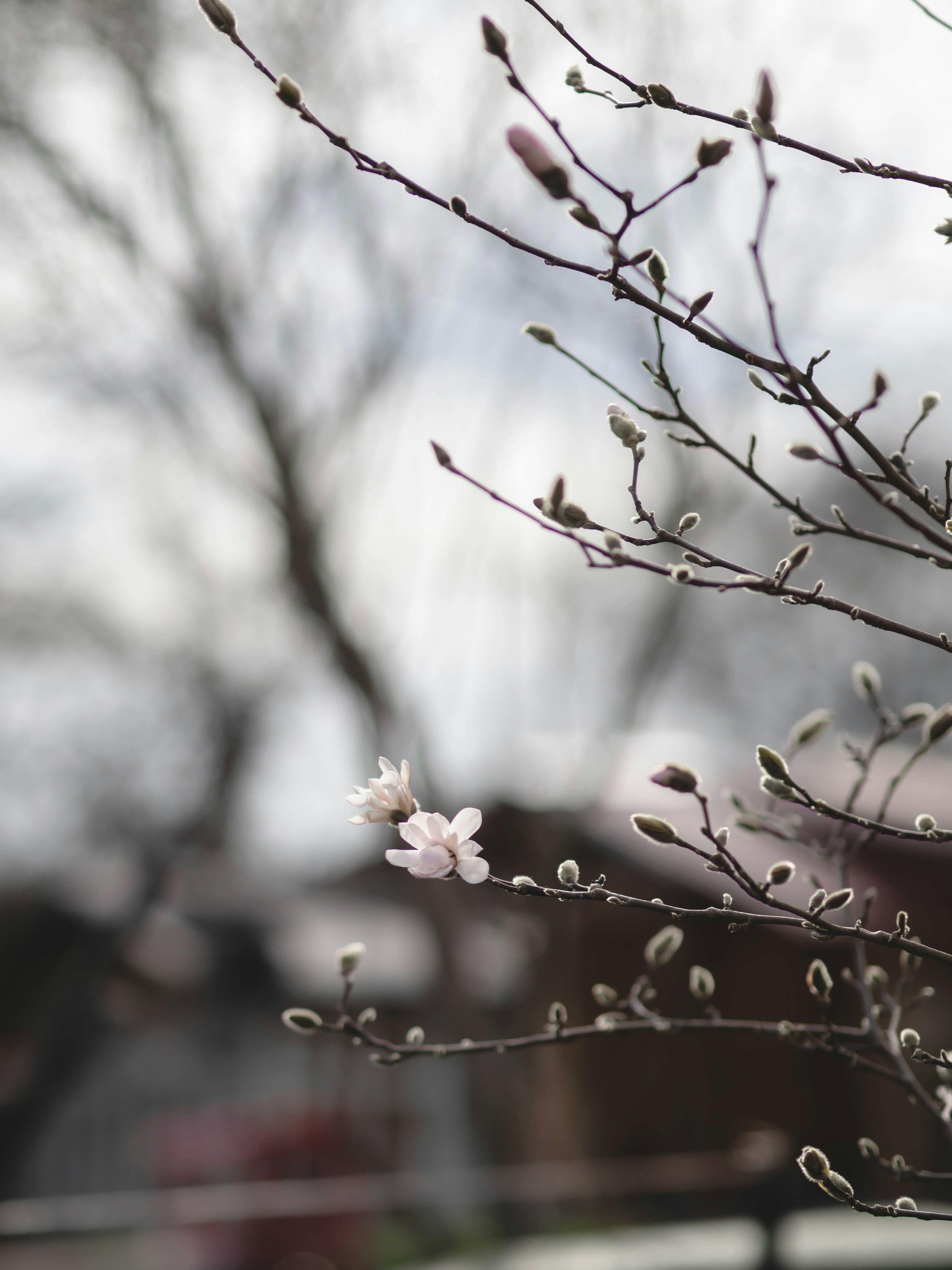 Photo by eileen_kummer