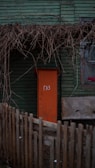 A weathered green wooden house features an orange door with a Russian word written on it. Bare, tangled branches form an overhead canopy, casting shadows on the door. A simple wooden fence encloses the area in front of the house.