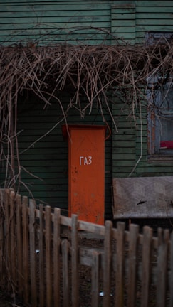 A weathered green wooden house features an orange door with a Russian word written on it. Bare, tangled branches form an overhead canopy, casting shadows on the door. A simple wooden fence encloses the area in front of the house.