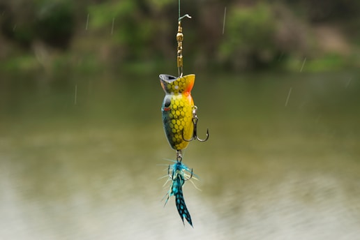 fishing topwater lure