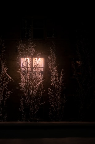 A bright living room window showing a snowy Canadian neighborhood outside, with a TV screen glowing warmly inside.
