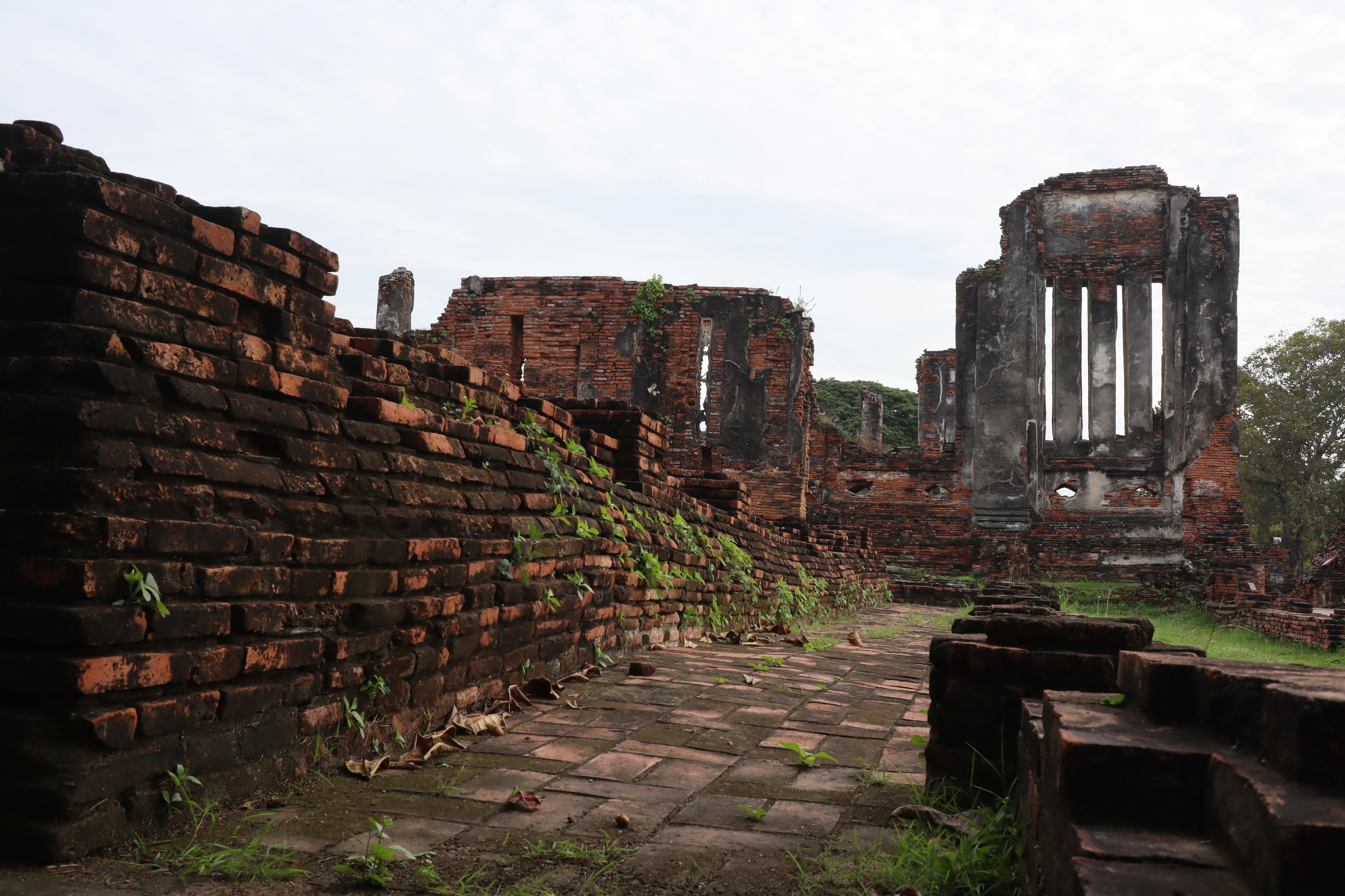 Why "Sompur Mahavihara" is the most important Buddhist archaeological site in South Asia.