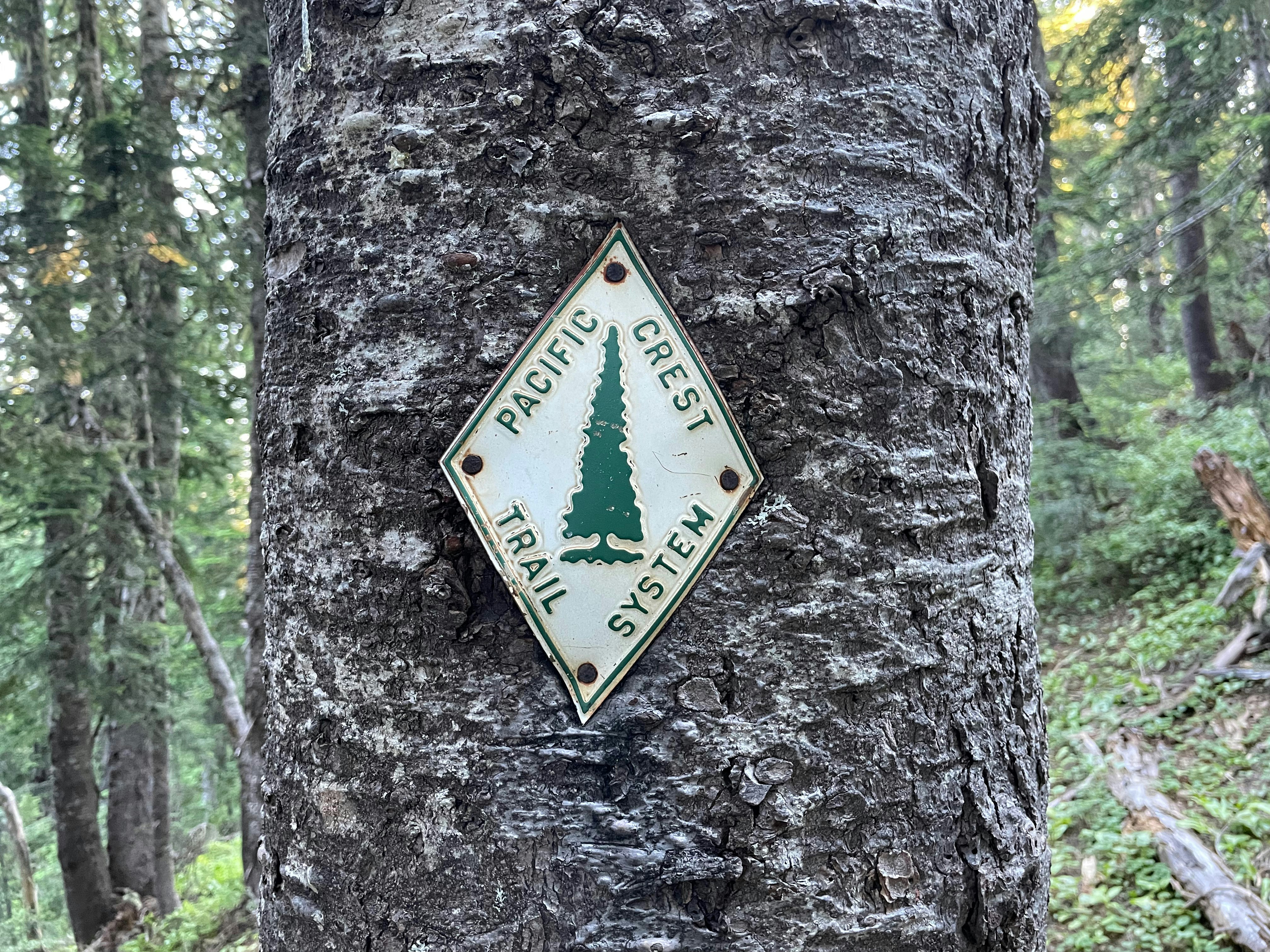 a sign on the side of a tree in the woods