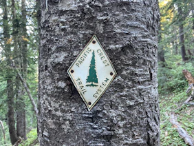 a sign on the side of a tree in the woods