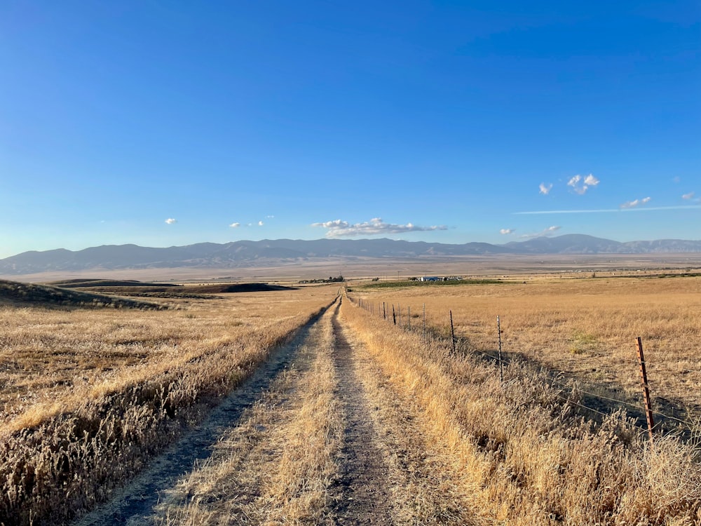 a dirt road running through a dry grass field