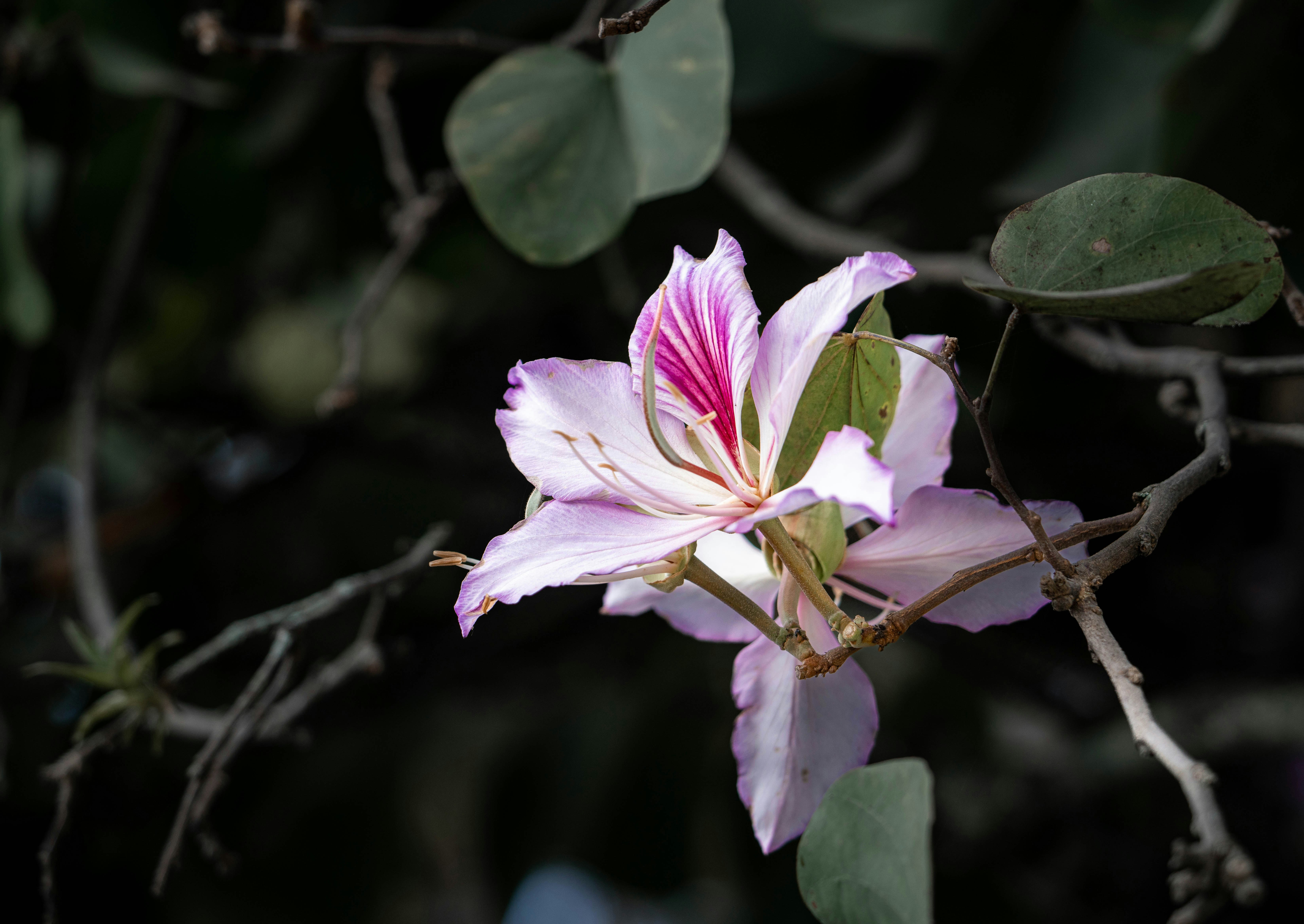 Photo by annastampfli