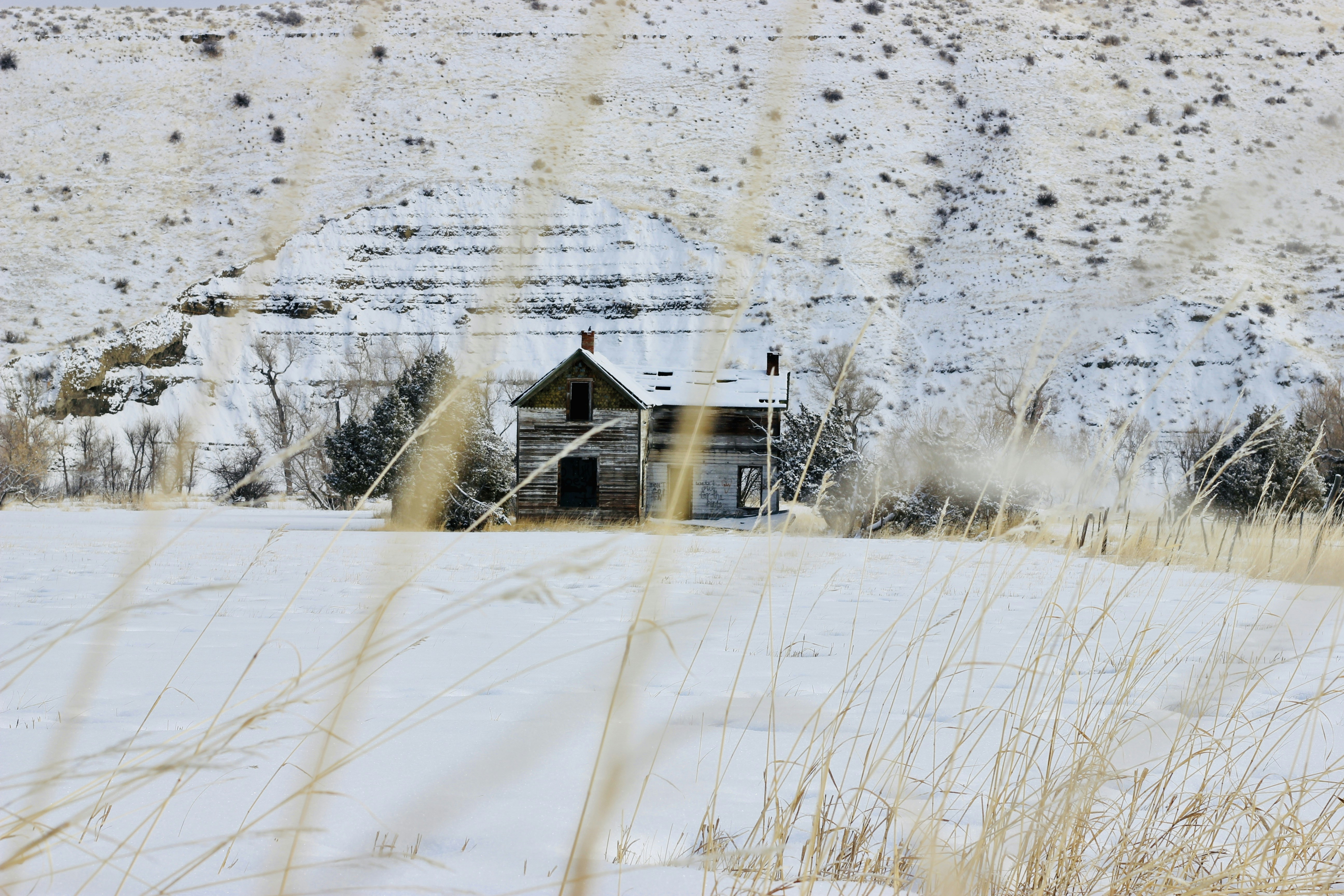 a house in the middle of a snowy field