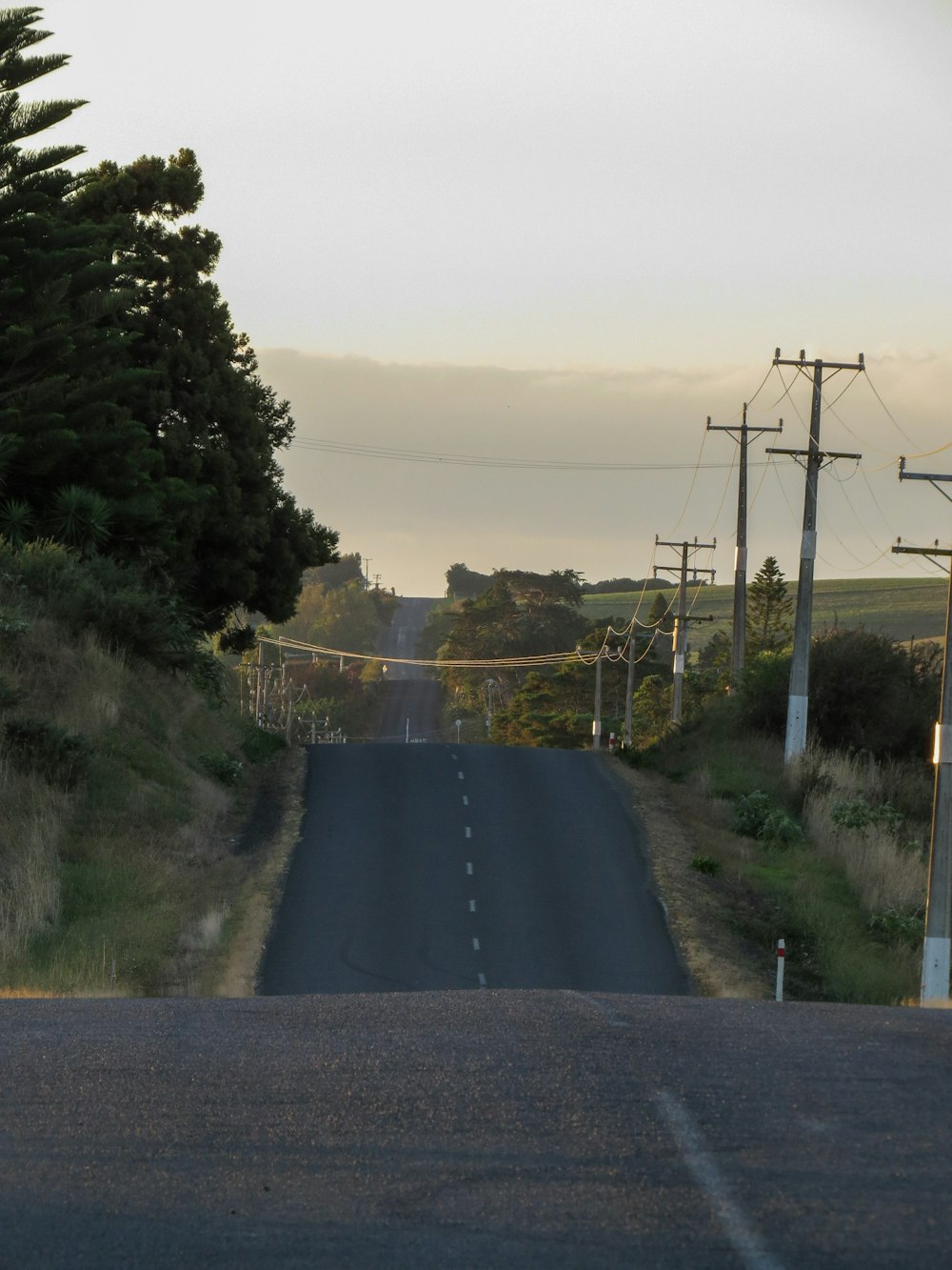 an empty road with power lines and telephone poles