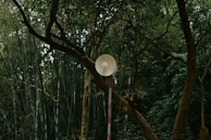 Sound equipment subtly integrated into an urban environment, inviting listening.