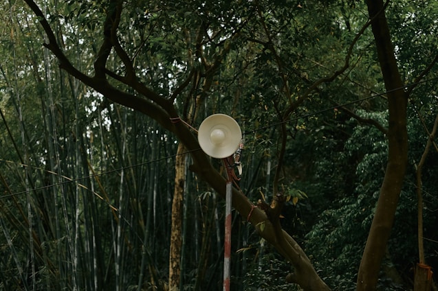 A white loudspeaker is mounted on a metal pole amidst a dense bamboo forest and trees. The environment is lush and green, suggesting a natural setting.