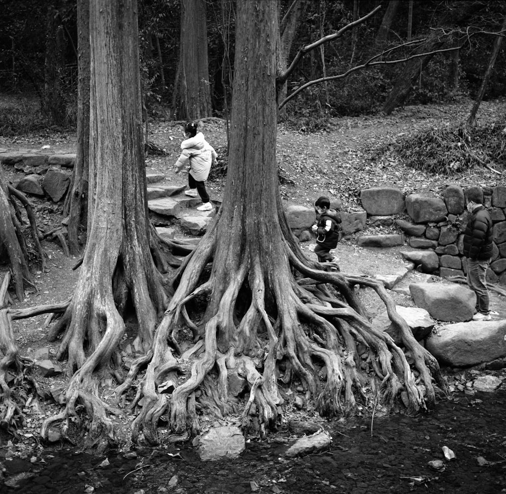 a black and white photo of a person walking through a forest