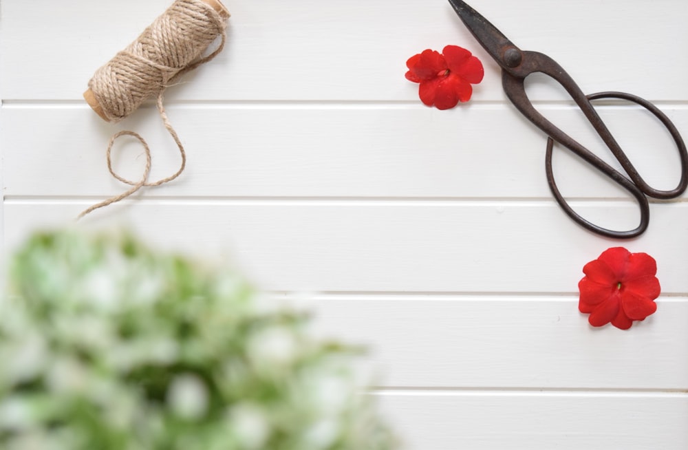 a pair of scissors sitting on top of a table next to a spool of