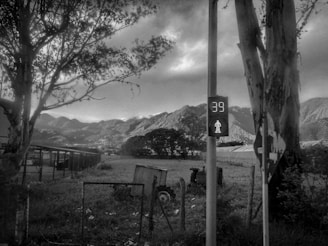 A rural landscape with mountains in the background and a field in the foreground. A digital pedestrian countdown sign shows the number 39, attached to a pole next to a tree. Various agricultural structures and a tractor are scattered in the field.