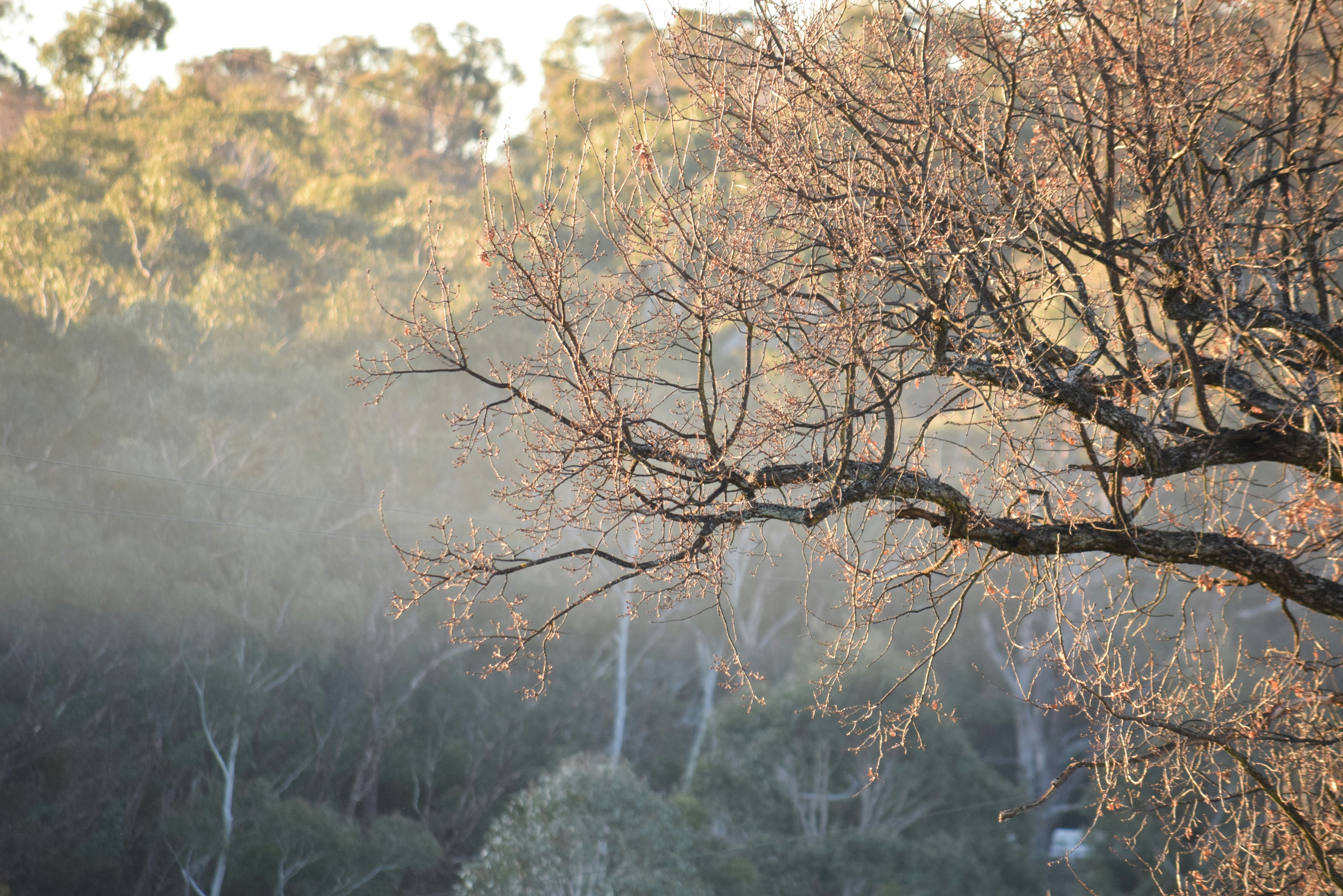 Photo by ch_photography