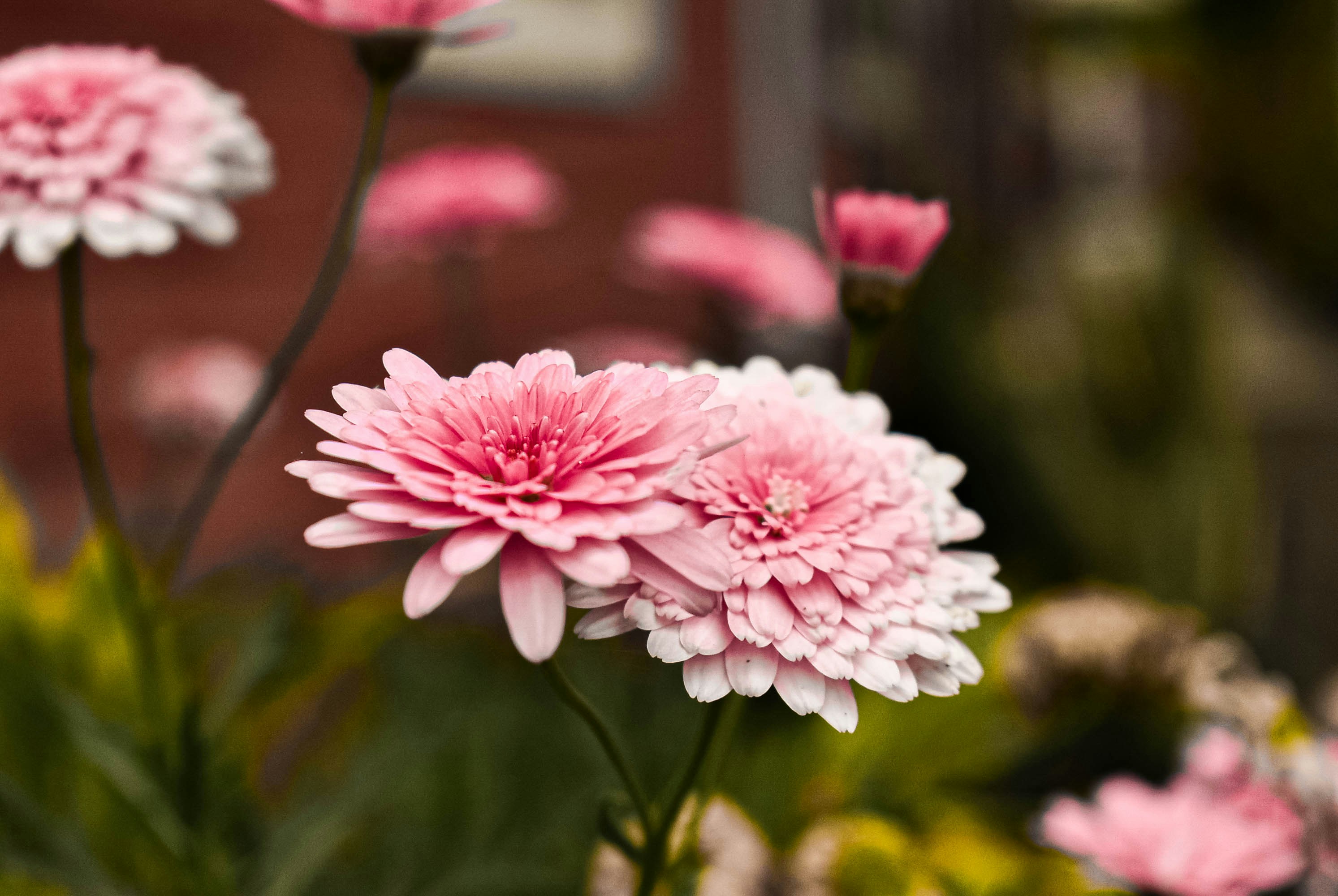 Photo by hector_siltroy