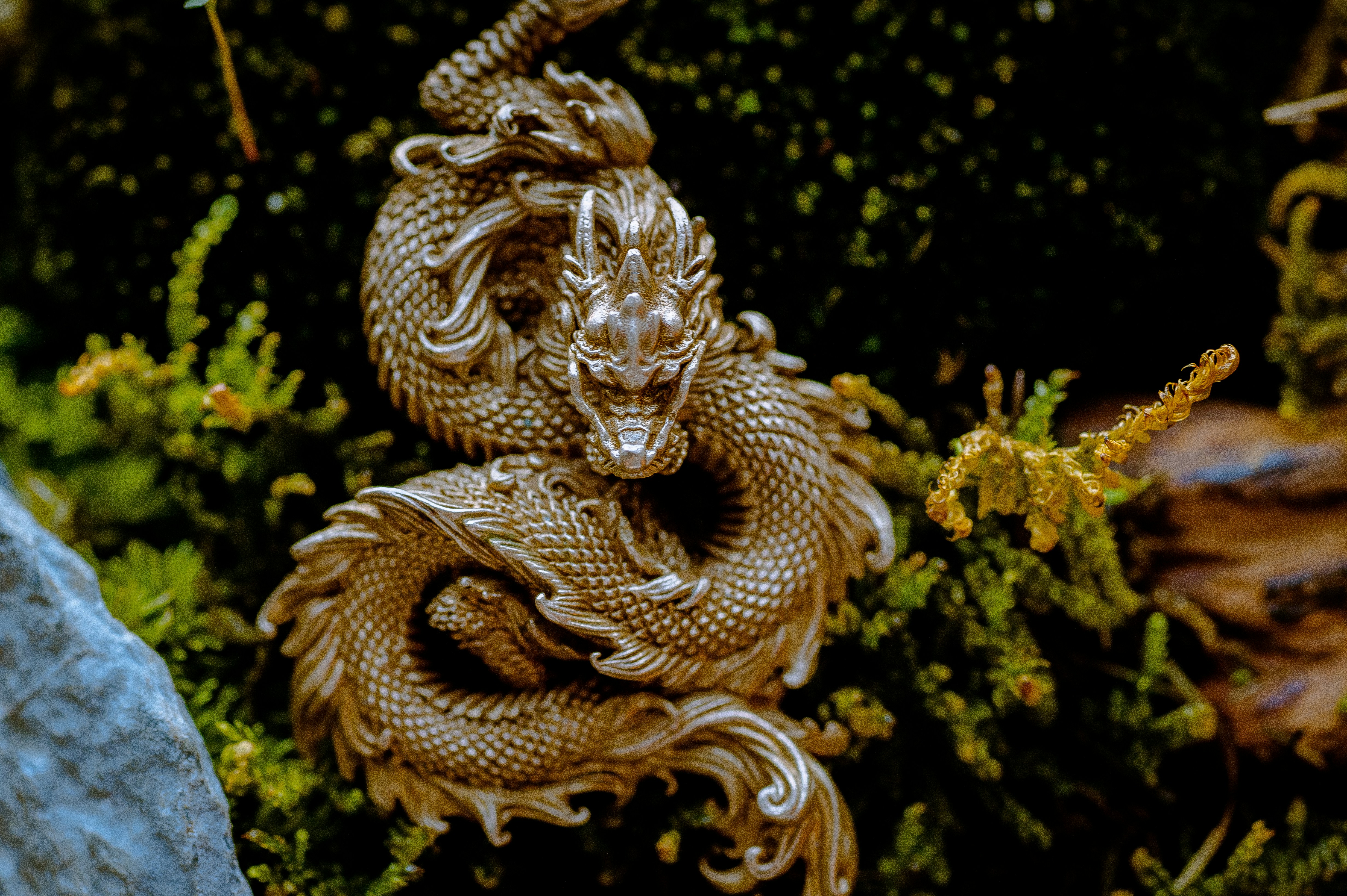 Photo by coppertistwu