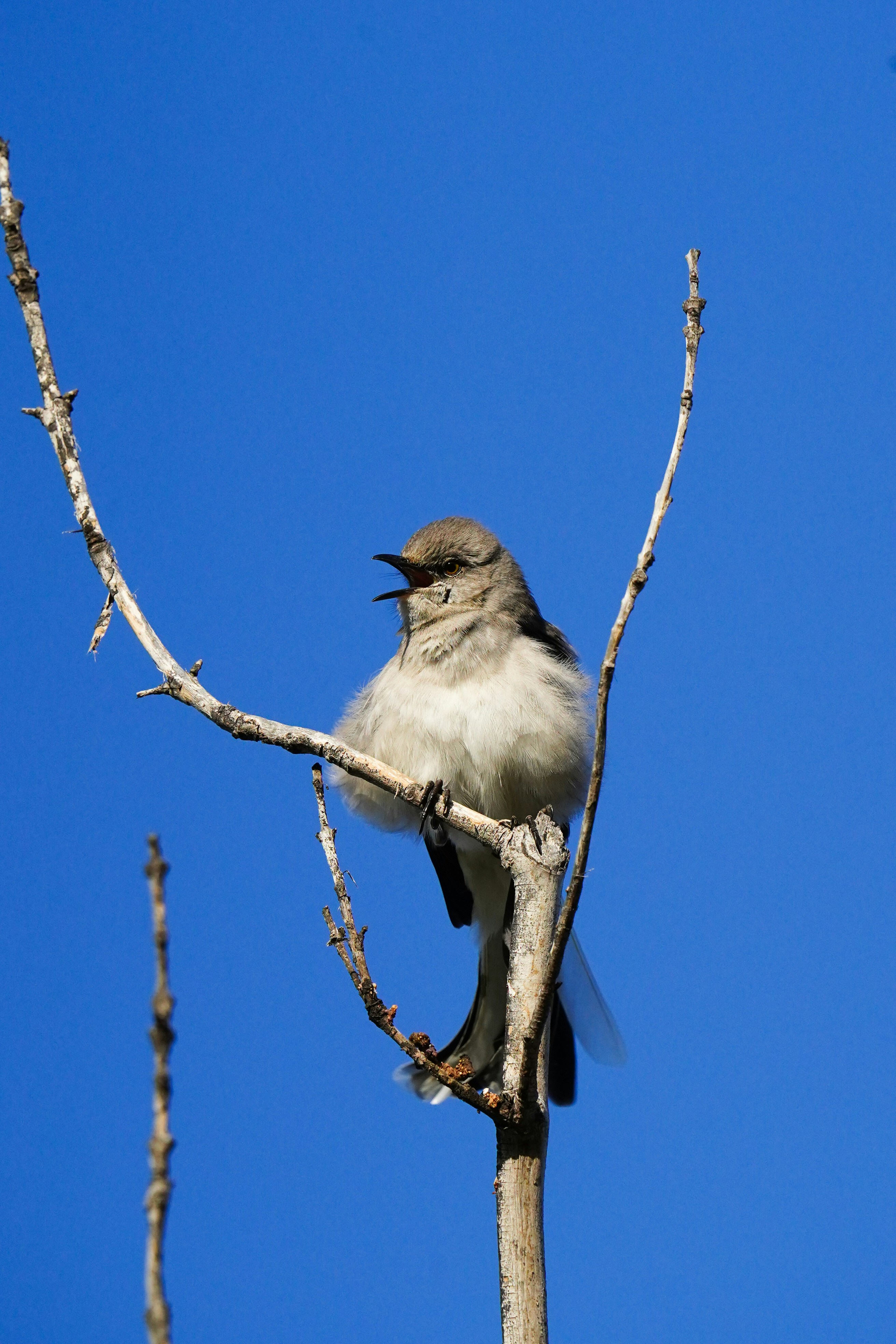 Photo by rodelophotography