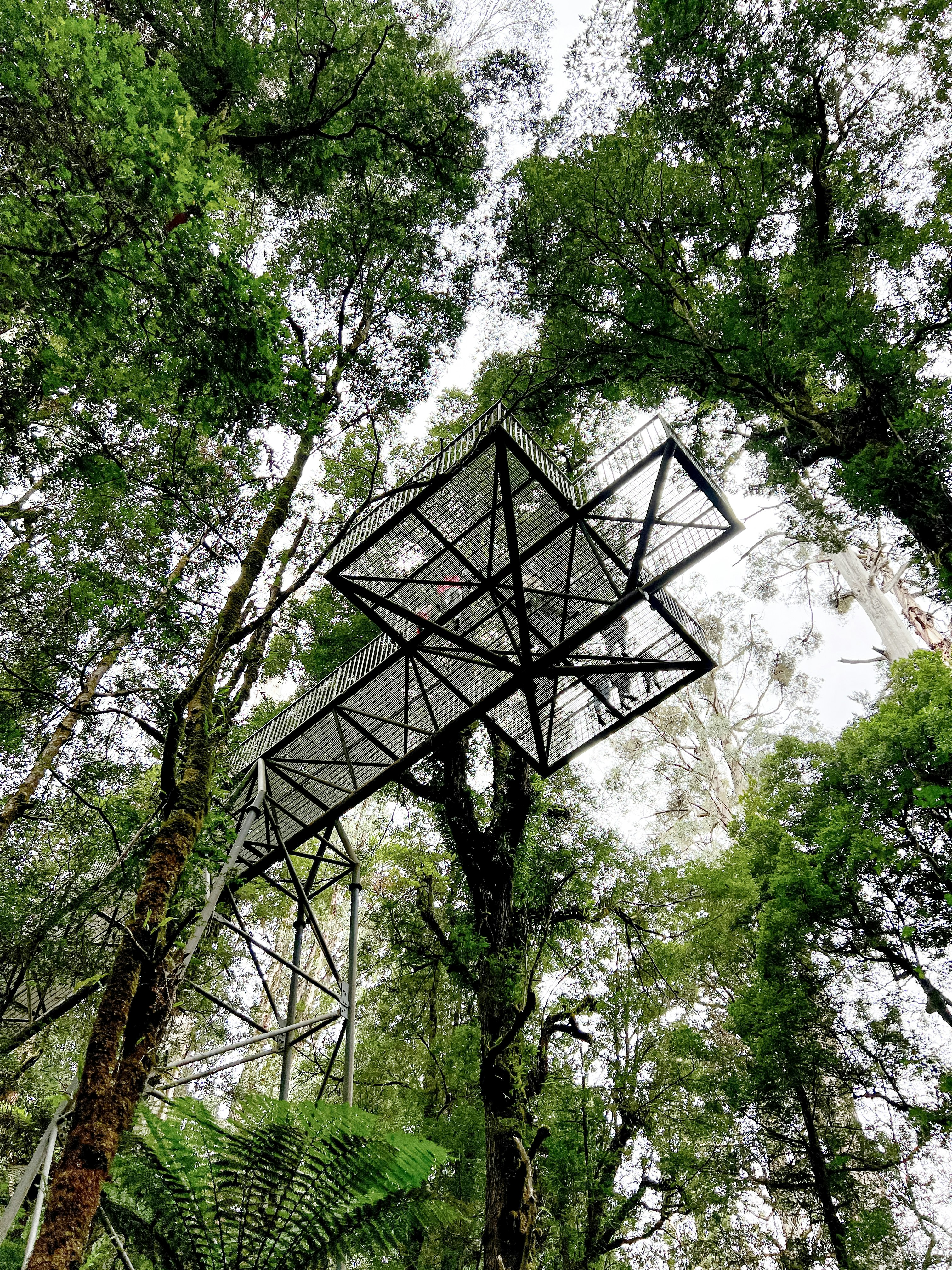 a metal structure in the middle of a forest