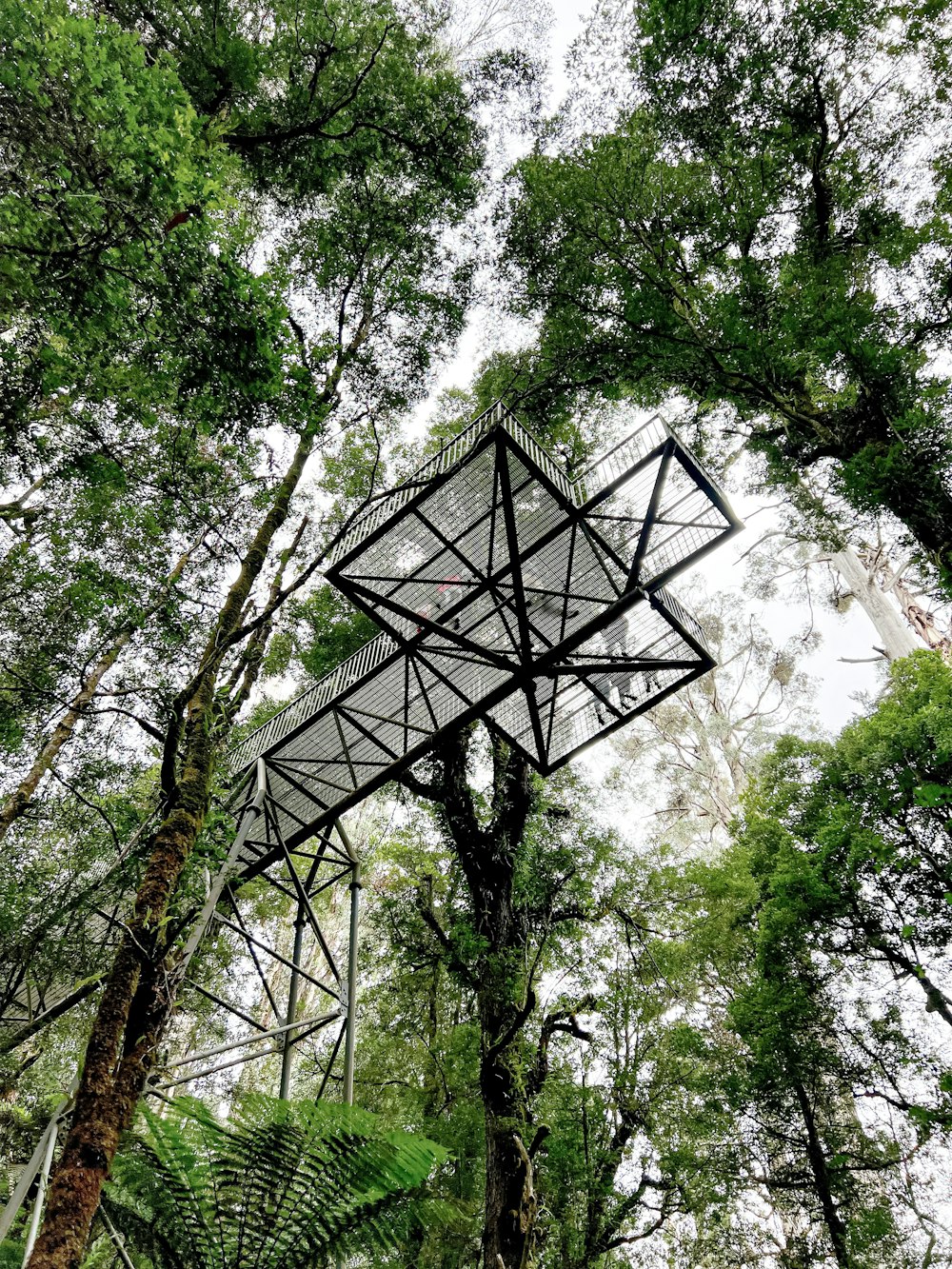 a metal structure in the middle of a forest