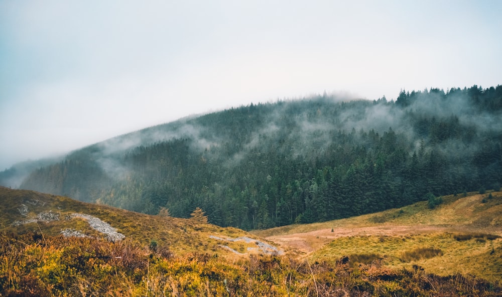 a mountain covered in fog and low lying clouds