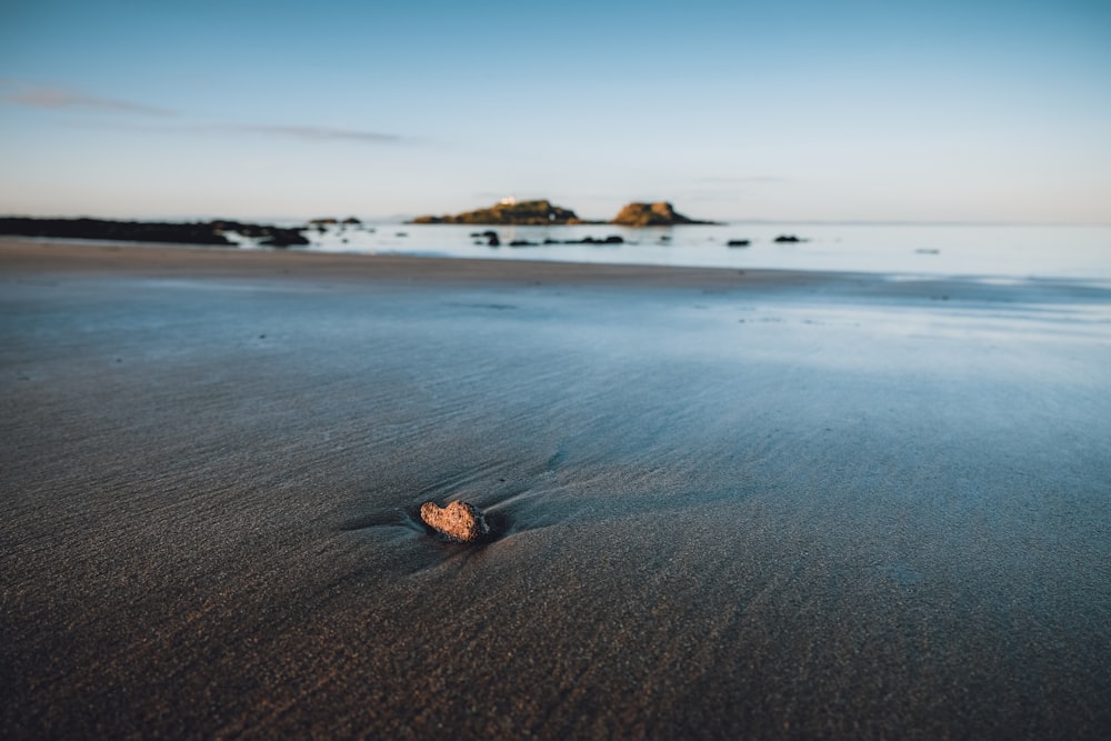 a rock in the sand on a beach