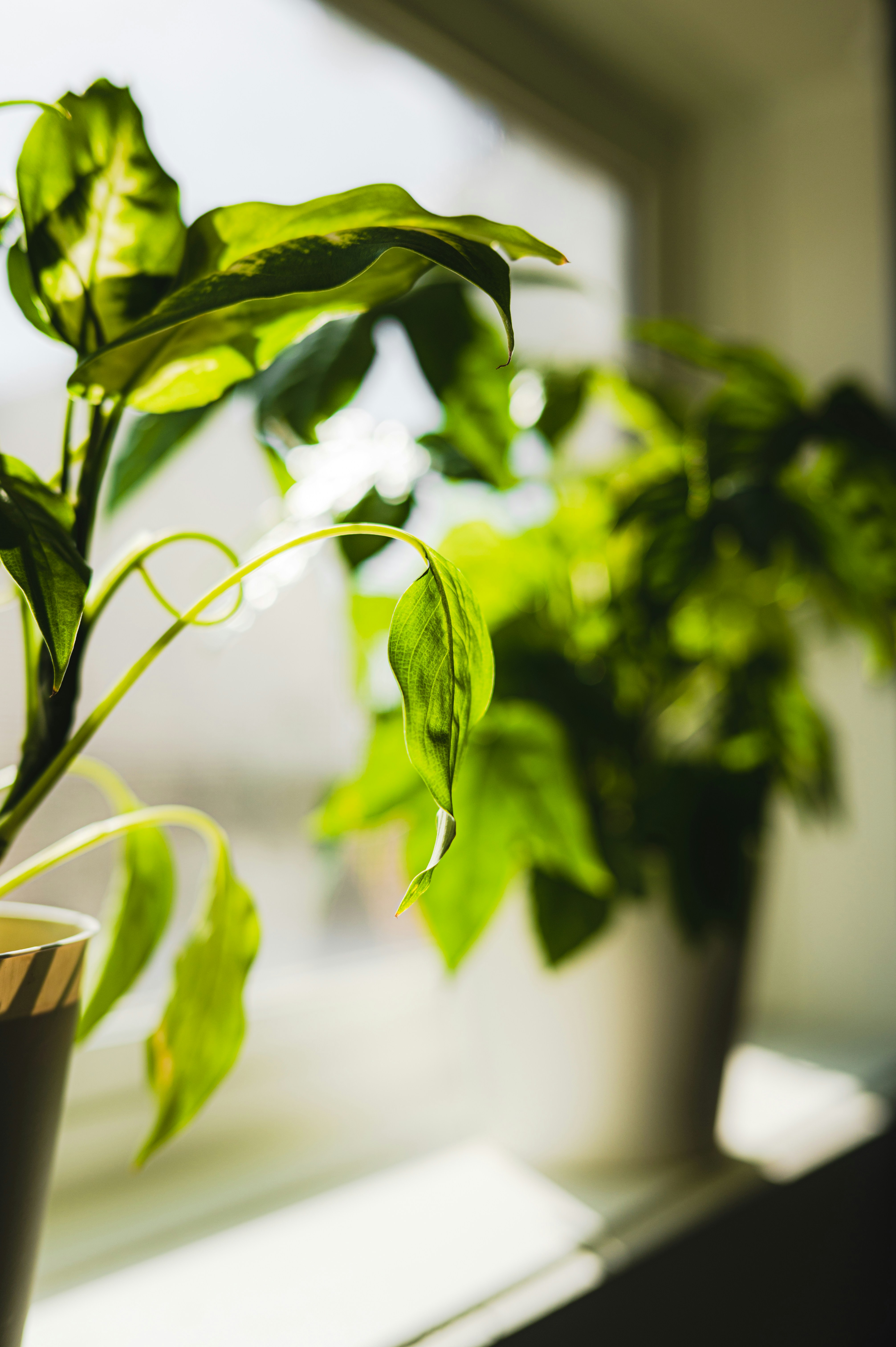 Photo by ryunosuke_kikuno