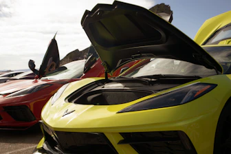A selection of cars and trucks displayed outdoors under bright sunlight
