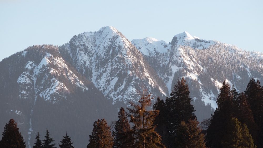 a snow covered mountain range with trees in the foreground