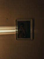 An engaging photo illustrating the essence of rizxtar.