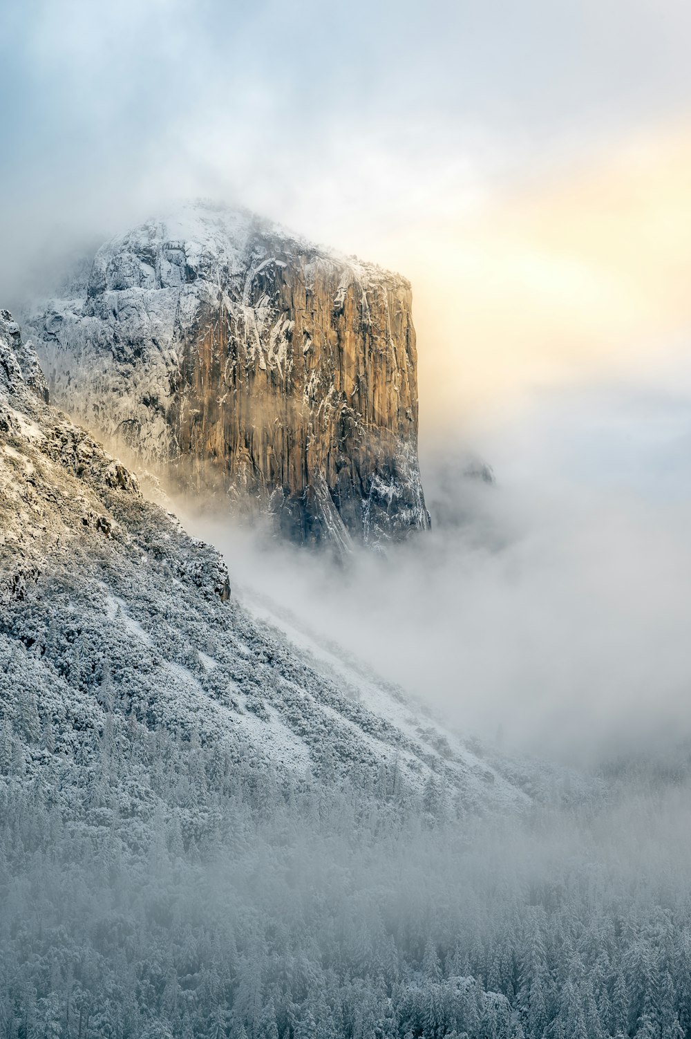 a mountain covered in snow next to a forest