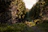 A cyclist riding through a lush mountain trail at sunrise, showcasing adventure and freedom.