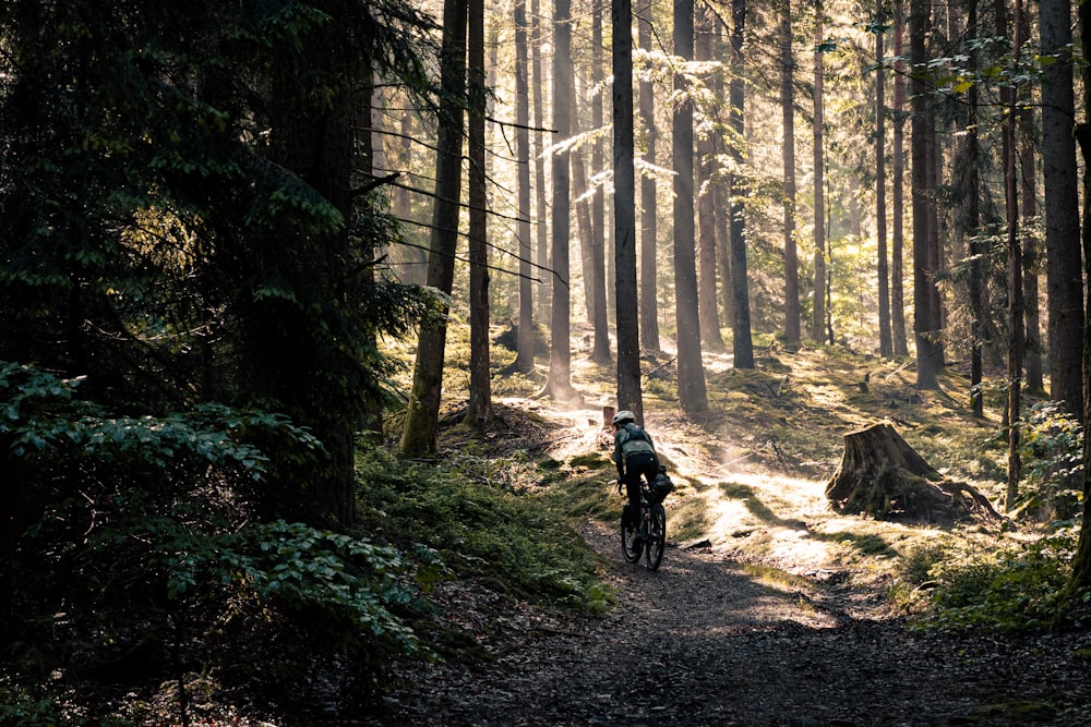 a person riding a bike on a trail in the woods