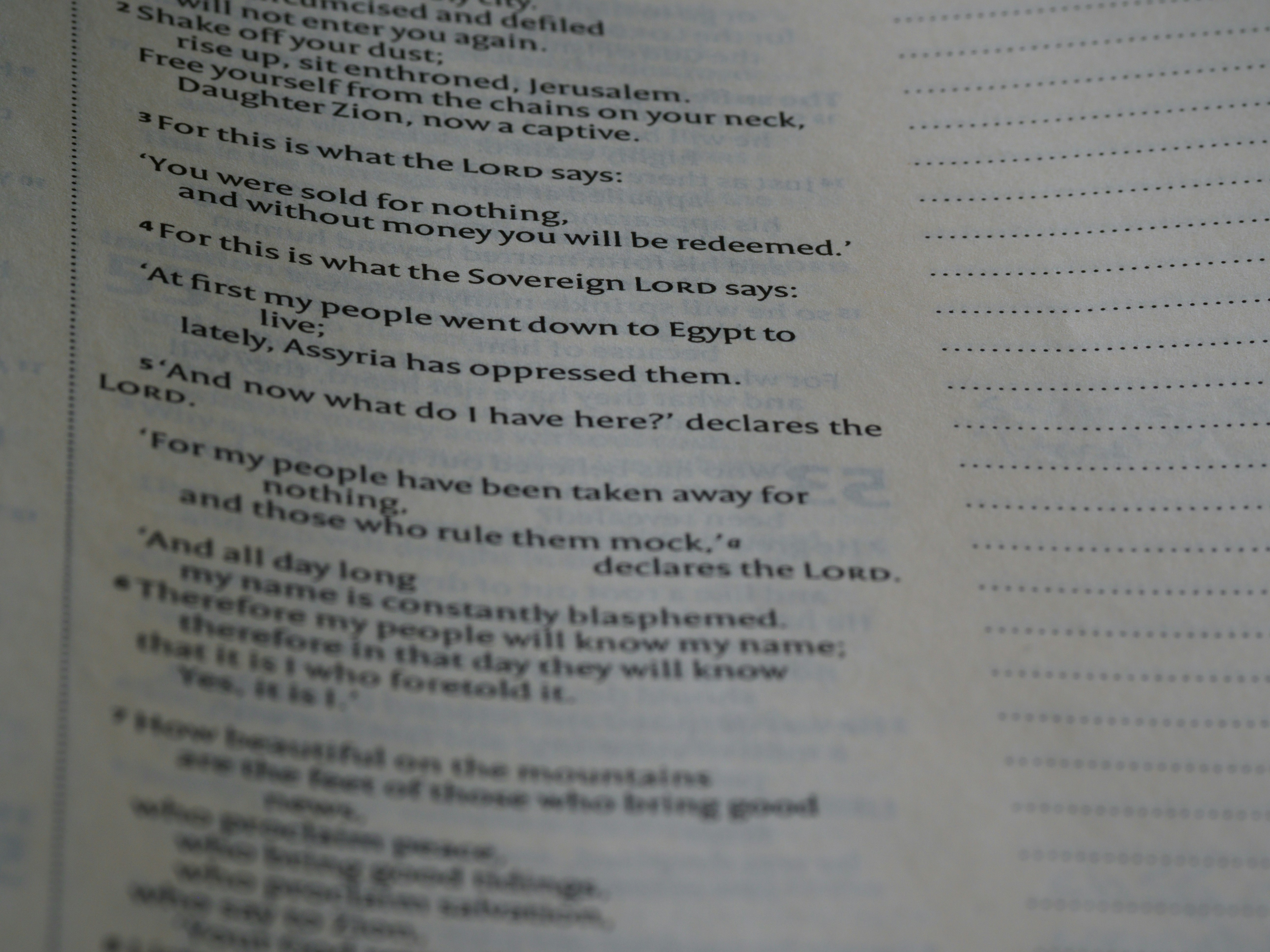 Photo by brett_jordan