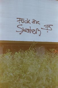 Graffiti with the message 'Fuck the System' is sprayed on a white wall above a patch of overgrown grass. The graffiti is written in bold, dark lettering, conveying a rebellious or anti-establishment sentiment.
