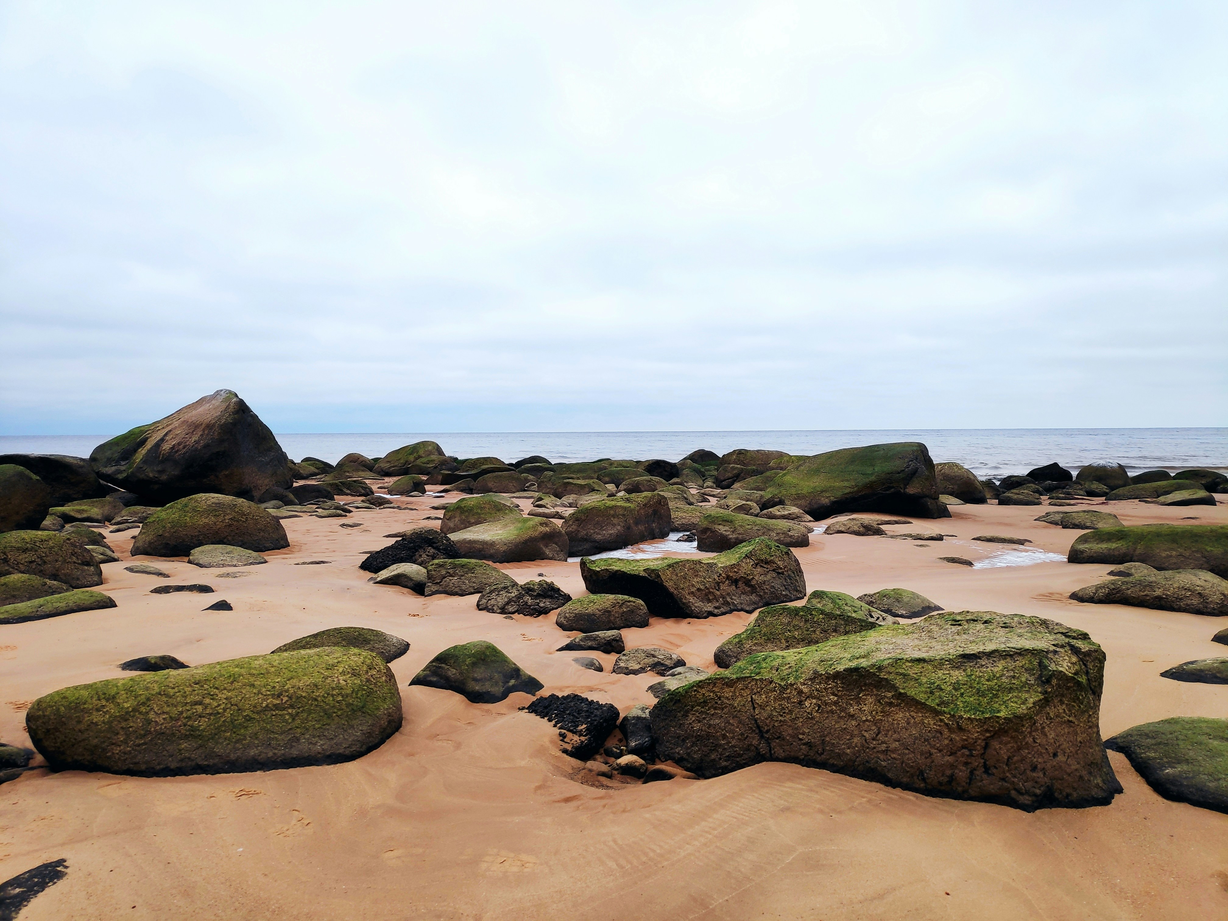 a sandy beach covered in lots of green rocks