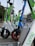 A row of parked electric scooters with varying colors like green, white, and blue stand on a pavement in an urban setting. Buildings and bare trees can be seen in the background, indicating a possible winter or early spring day.