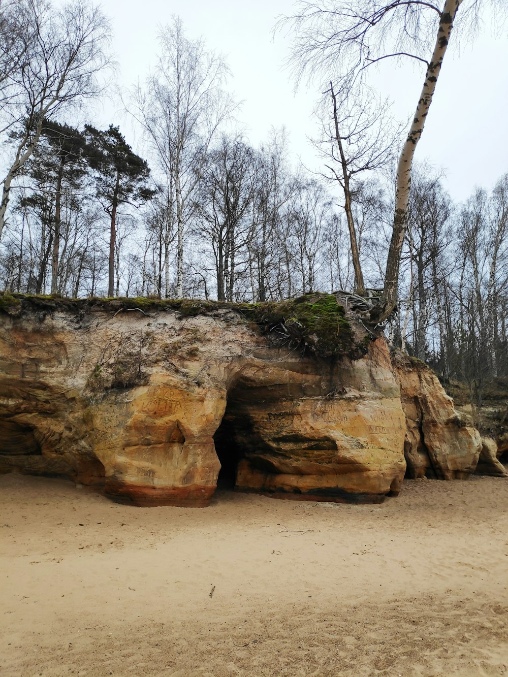 a large rock formation with trees in the background