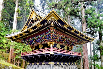 a pagoda in the middle of a forest
