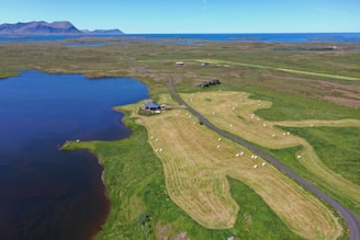 A serene landscape with a small house situated near a large lake. The surrounding fields are lush and green, with bales of hay scattered across a neatly mowed area. A winding road cuts through the grassy terrain, leading towards the house. In the distance, a mountain range under a clear blue sky stretches towards the horizon, meeting the sea.