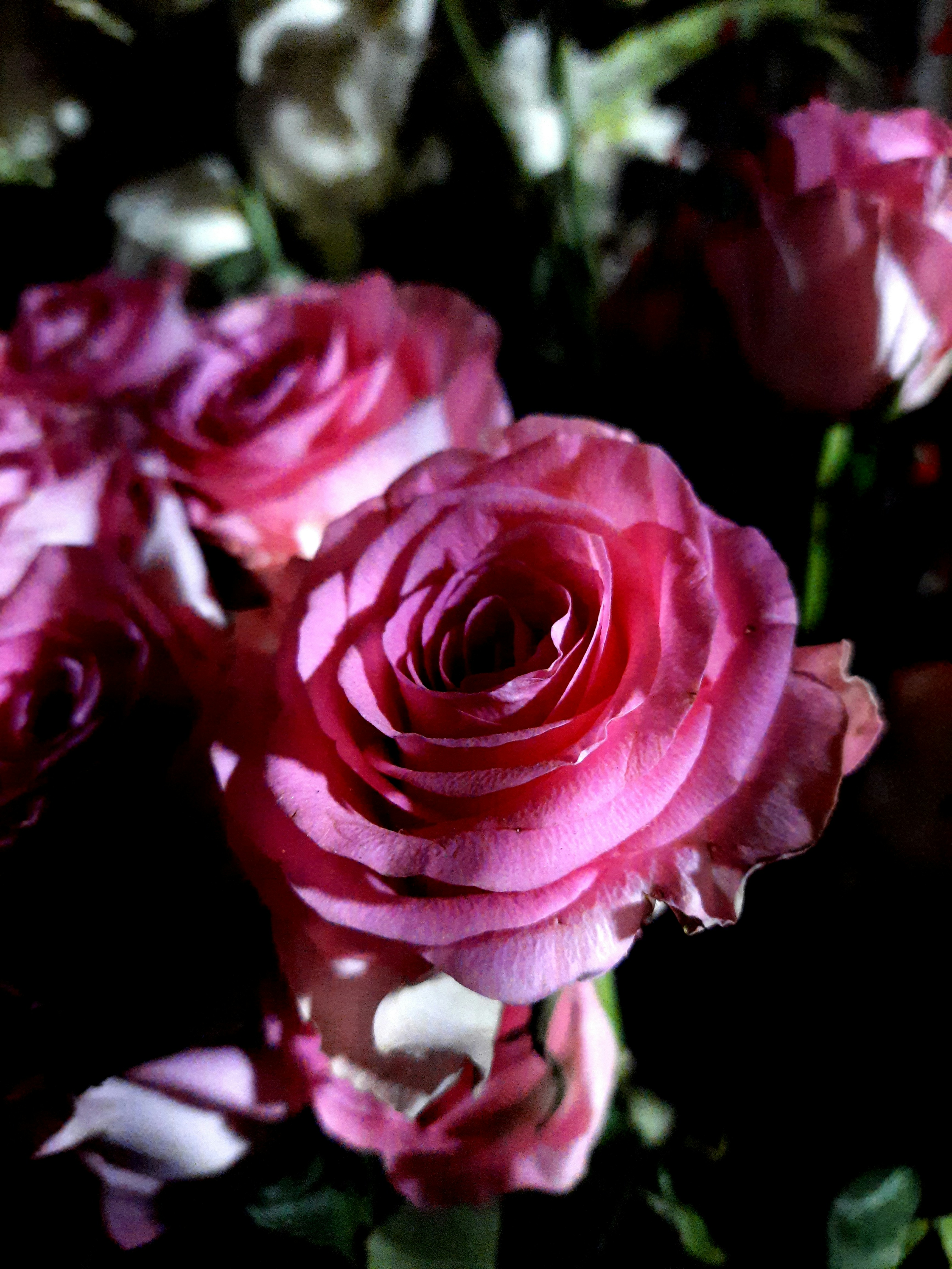 Photo by shutters_flutter