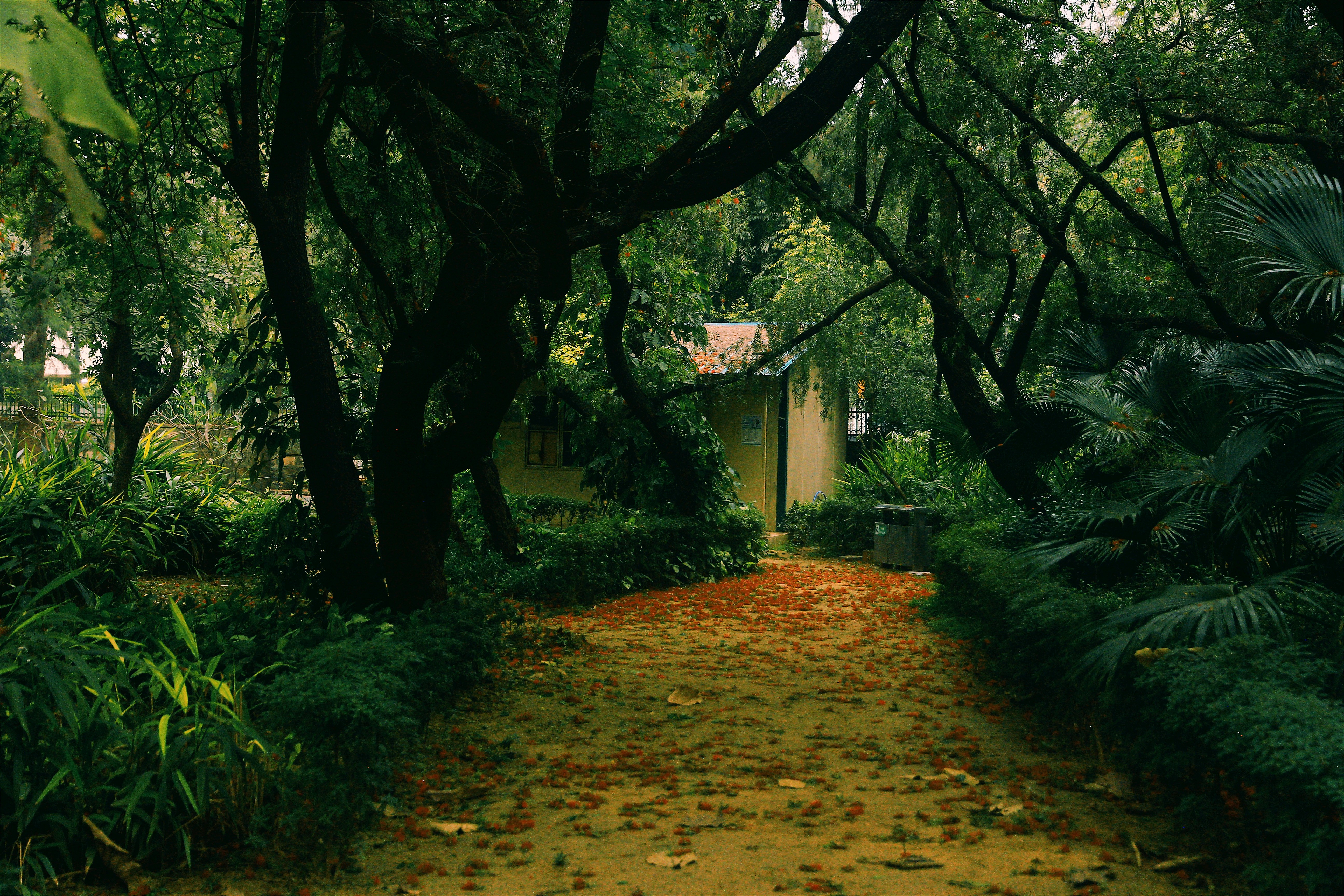 Lodhi Garden, Delhi clicked by siddharth sabron 