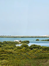a large body of water surrounded by trees and grass