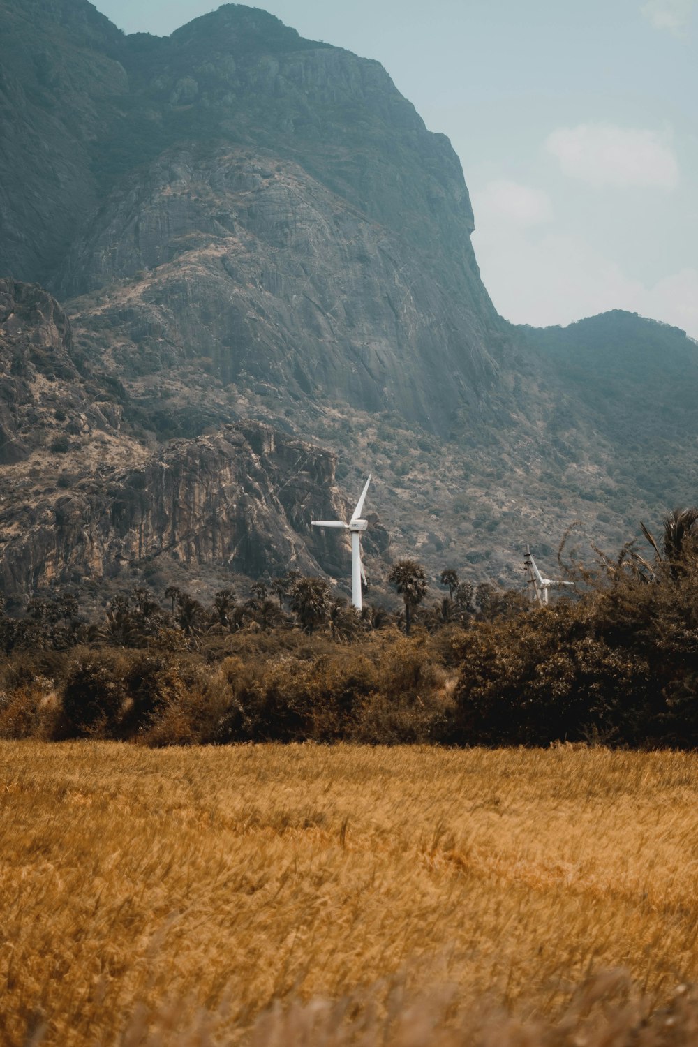 Un molino de viento en un campo con una montaña al fondo