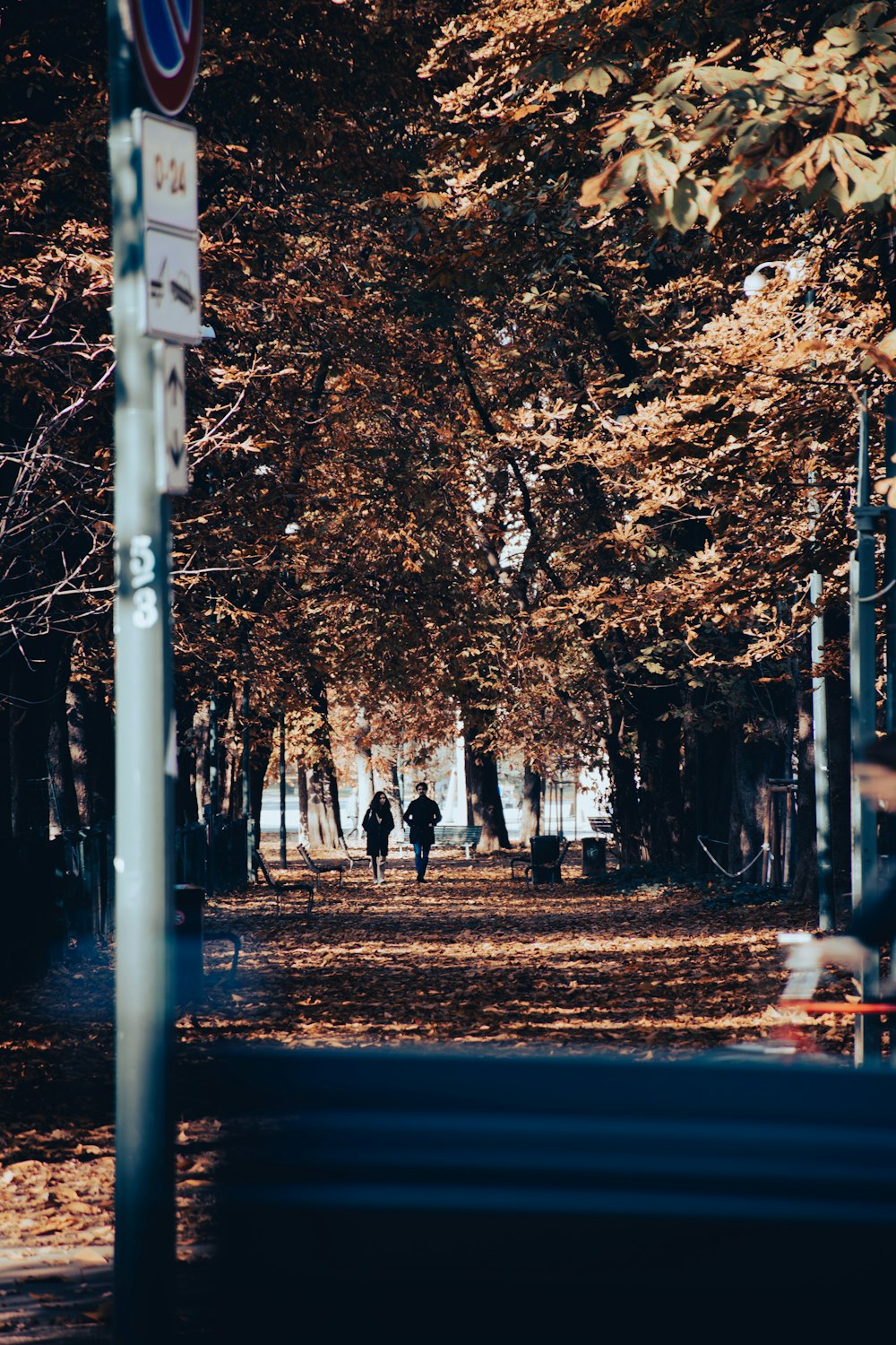 a couple of people walking down a leaf covered road
