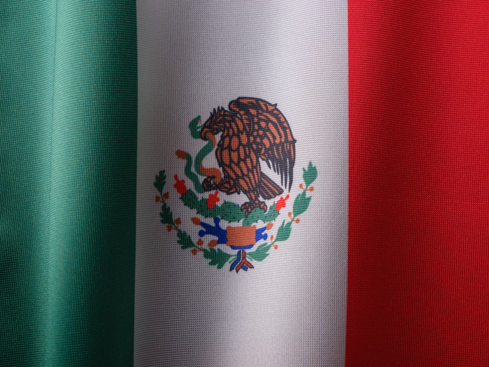 a close up of the flag of mexico