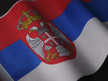 a close up of a flag with a crown on it