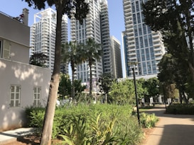 High-rise residential or office buildings stand in the background, surrounded by lush greenery and mature trees. A modern, well-maintained path leads through a landscaped park area. The scene includes a blend of urban and natural elements, with sunlight casting shadows across the path and buildings.
